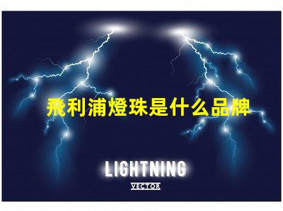飛利浦燈珠是什么品牌 led燈珠閃爍是什么原因